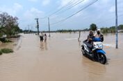 Tanaman Padi Hanyut Diterjang Banjir Kali Lamong, Petani Balongpanggang :  Wes Embuh, Tak Tahu Lagi !