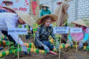 Kuatkan Ketahanan Pangan, PKK Gresik Tanam Ratusan Bibit Cabe