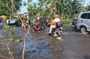 Sepekan Masih Banjir di Gresik, Kerahkan Pompa  Milik BBWS dan DPUTR untuk Sedot Air