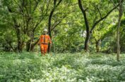 SBI Alokasikan Separuh Area Pabrik Cilacap sebagai Hutan Kota