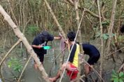 Hasil Biolitik di Tiga Titik di KEE Ujungpangkah, Gresik Tercemar Berat