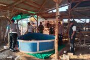 Petugas Gabungan Gerebek Lokasi Judi Sabung Ayam yang Kosong