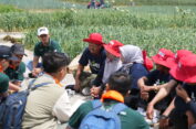 Milenial PG  Gali Aspirasi dan Kampanyekan Pemupukan Berimbang di Sentra Pertanian Bawang Putih