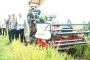 Gresik Jadi Salah Satu Lumbung Pangan Utama di Jawa Timur