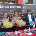 Polres Gresik Amankan 6 Orang Saat Gerebek Arena Judi Sabung Ayam