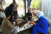 SIG Komitmen Berdayakan Masyarakat dan Tumbuhkan 36 UMKM